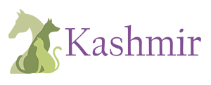 Footer Logo